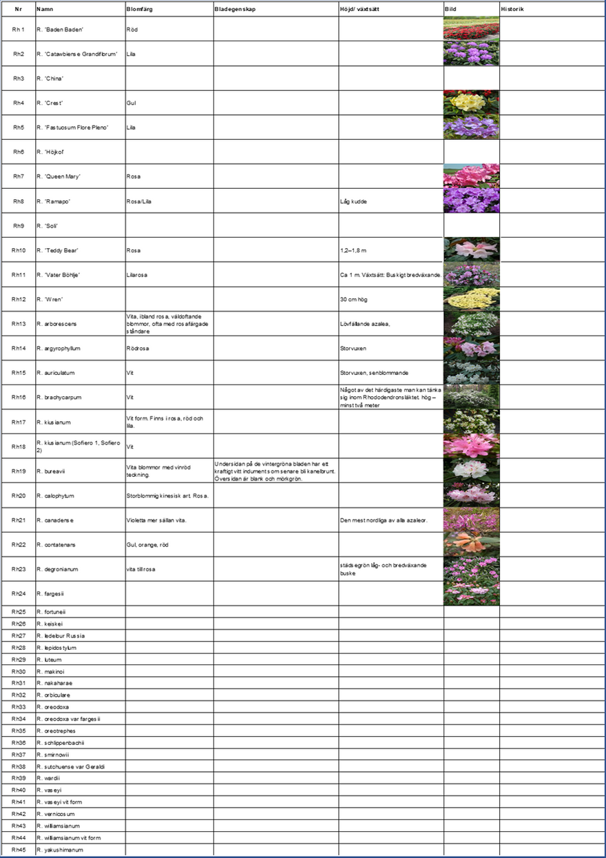 Växtförteckning Rhododendron, Hildings Have