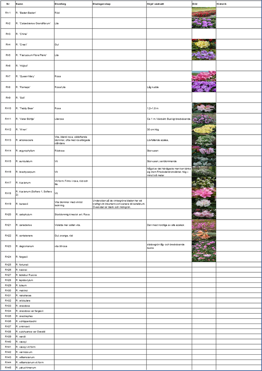 Växtförteckning Rhododendron, Hildings Have